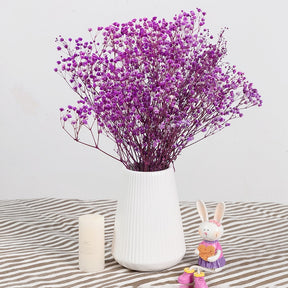 Natural Fresh Dried Preserved Gypsophila Flowers