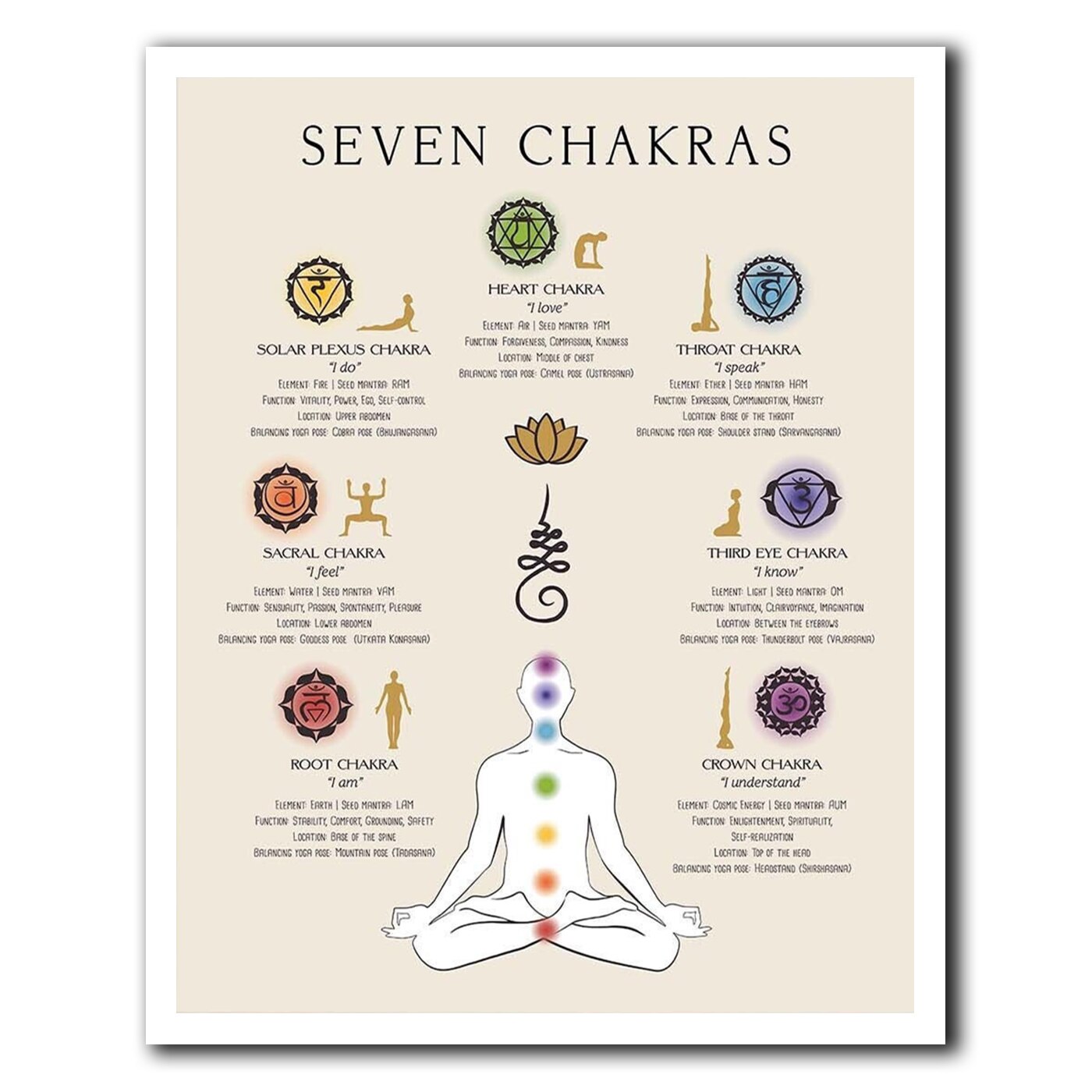 Seven Chakras Poster